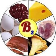 B2 B2 bitamina para sa utak